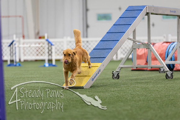 MastersSeriesAgility2026236