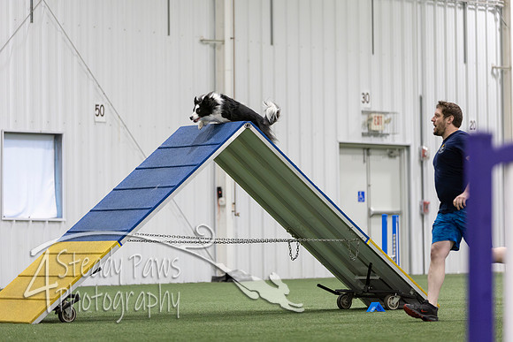 MastersSeriesAgility2026237