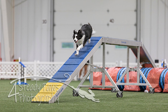 MastersSeriesAgility2026242