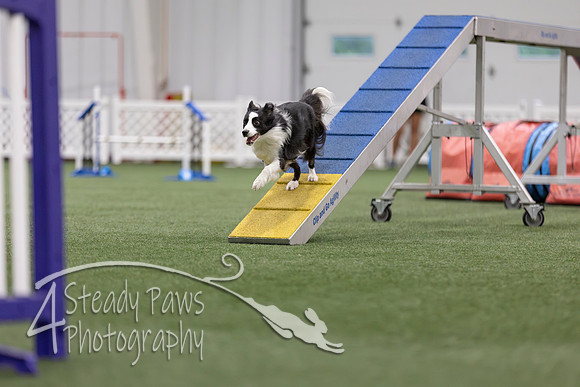 MastersSeriesAgility2026243