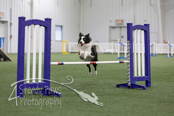 MastersSeriesAgility2026244