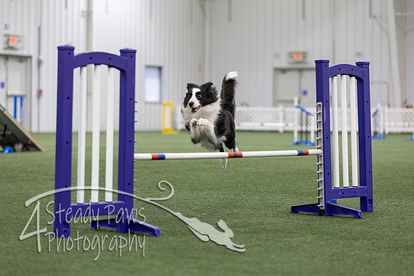 MastersSeriesAgility2026245