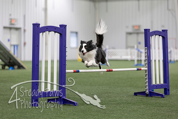 MastersSeriesAgility2026246