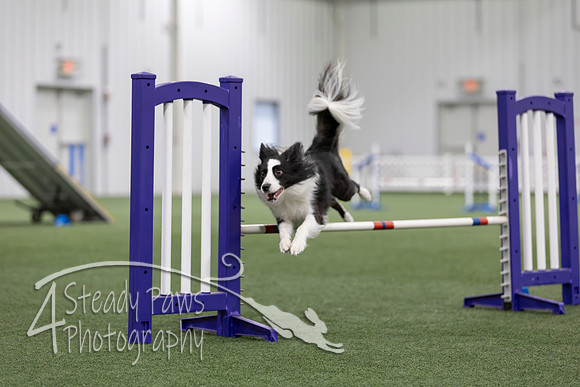 MastersSeriesAgility2026247