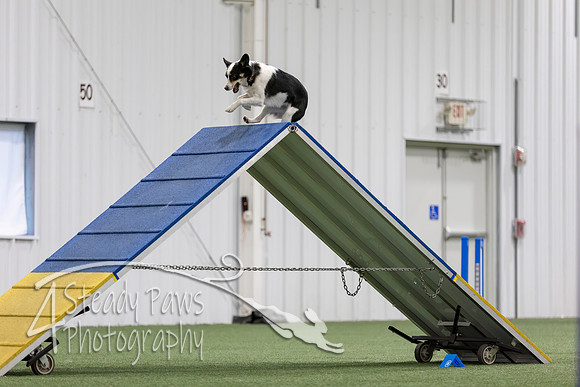 MastersSeriesAgility2026248