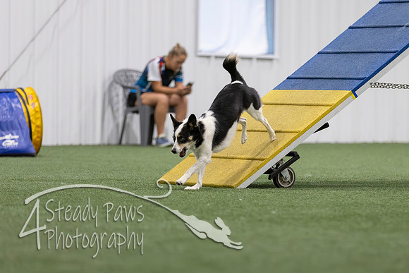 MastersSeriesAgility2026249