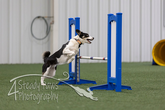 MastersSeriesAgility2026250