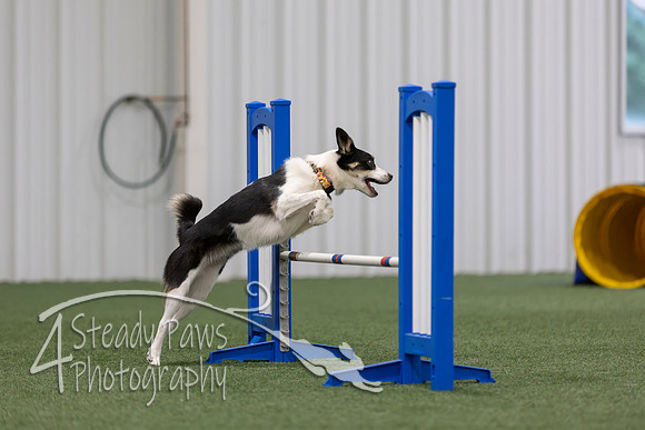 MastersSeriesAgility2026251