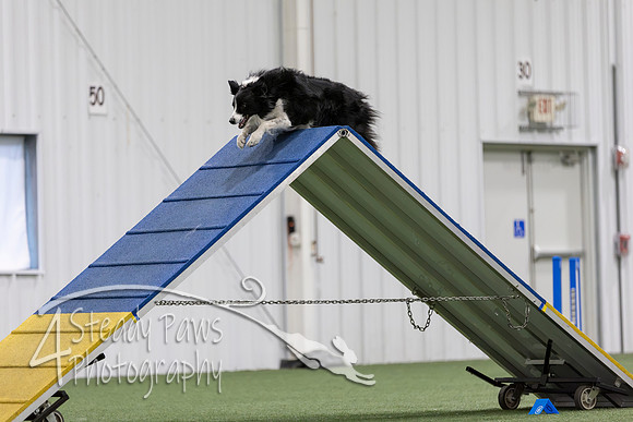 MastersSeriesAgility2026252