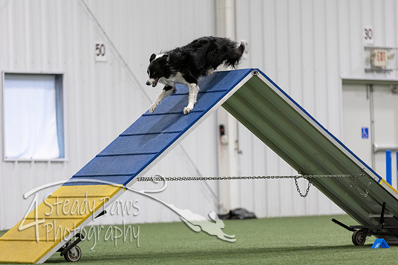 MastersSeriesAgility2026253