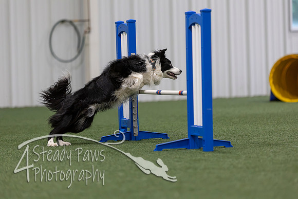 MastersSeriesAgility2026255