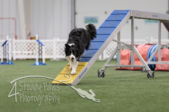 MastersSeriesAgility2026257