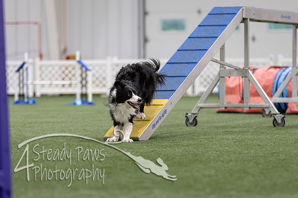 MastersSeriesAgility2026258