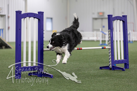 MastersSeriesAgility2026259