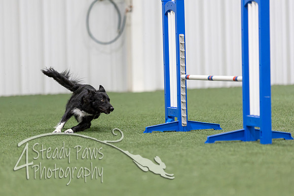 MastersSeriesAgility2026261