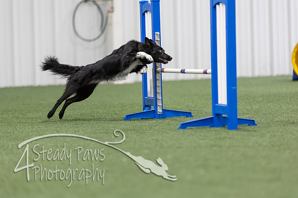 MastersSeriesAgility2026262