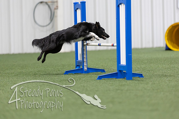 MastersSeriesAgility2026263