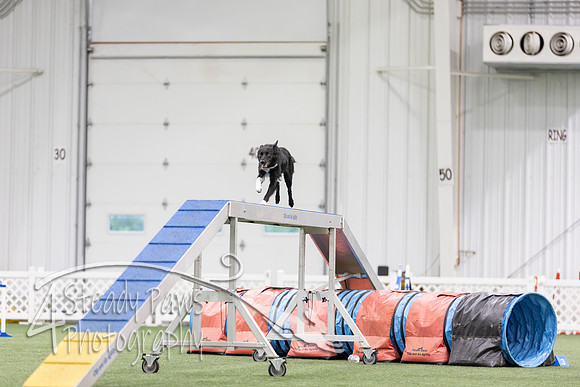 MastersSeriesAgility2026264