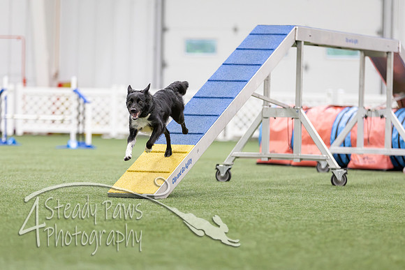 MastersSeriesAgility2026267