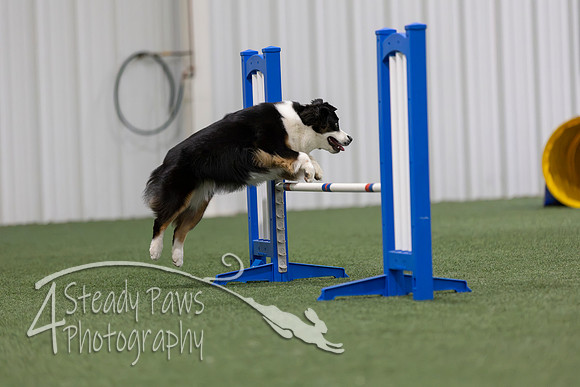MastersSeriesAgility2026272