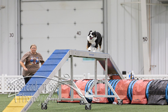 MastersSeriesAgility2026273