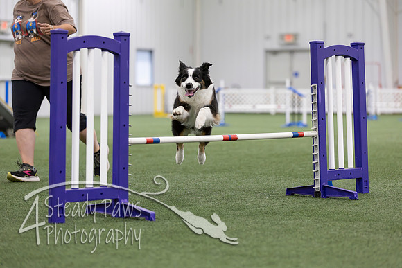 MastersSeriesAgility2026275