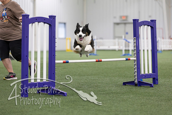 MastersSeriesAgility2026276