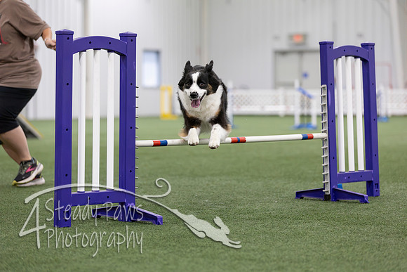 MastersSeriesAgility2026277
