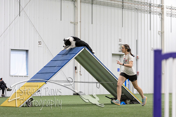 MastersSeriesAgility2026278