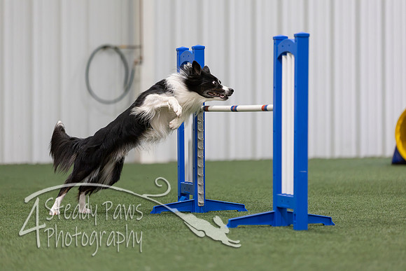MastersSeriesAgility2026281