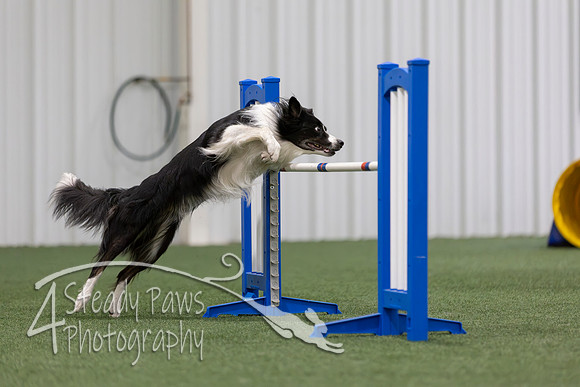 MastersSeriesAgility2026282