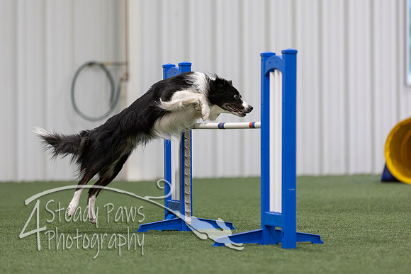MastersSeriesAgility2026283