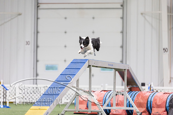 MastersSeriesAgility2026284