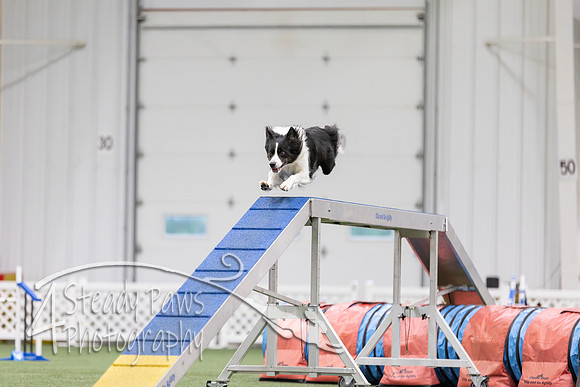 MastersSeriesAgility2026285