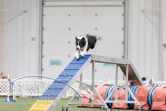 MastersSeriesAgility2026286