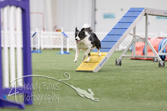 MastersSeriesAgility2026287