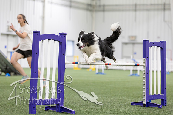 MastersSeriesAgility2026288