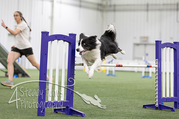 MastersSeriesAgility2026289
