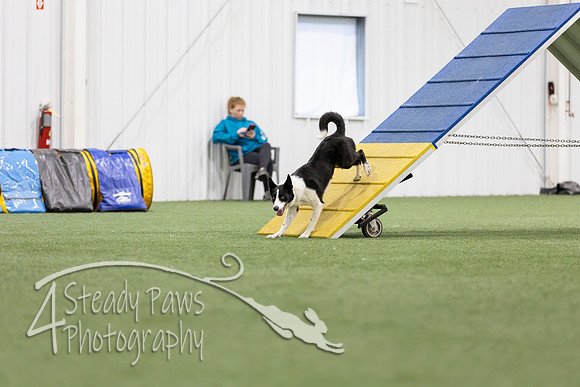 MastersSeriesAgility2026290