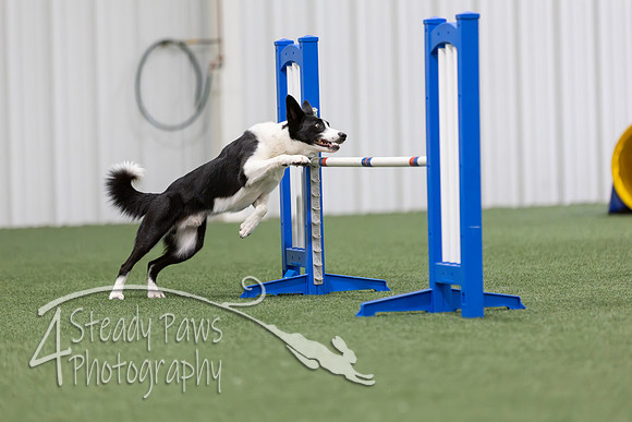 MastersSeriesAgility2026291
