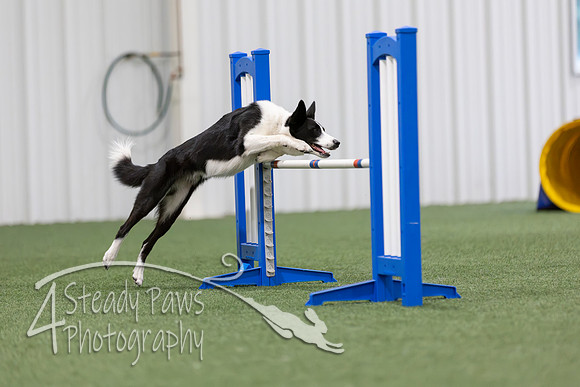 MastersSeriesAgility2026292