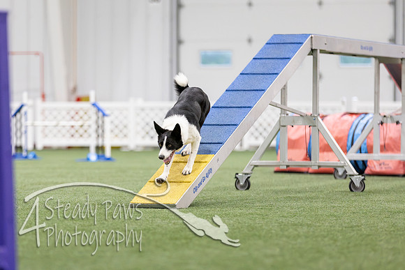 MastersSeriesAgility2026295