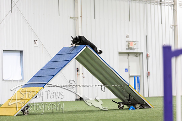 MastersSeriesAgility2026296