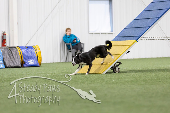 MastersSeriesAgility2026297