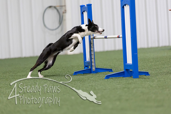 MastersSeriesAgility2026298