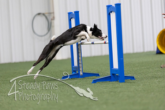 MastersSeriesAgility2026299