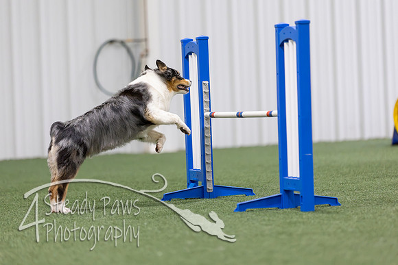 MastersSeriesAgility2026304