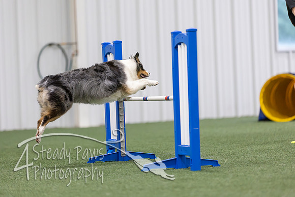 MastersSeriesAgility2026305