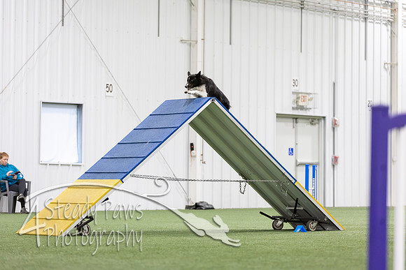 MastersSeriesAgility2026308