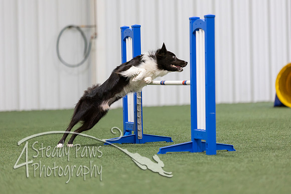 MastersSeriesAgility2026310